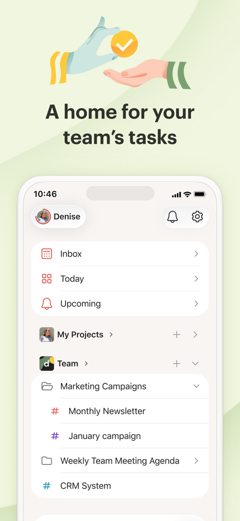 Todoist mobile app interface showing team projects and task lists