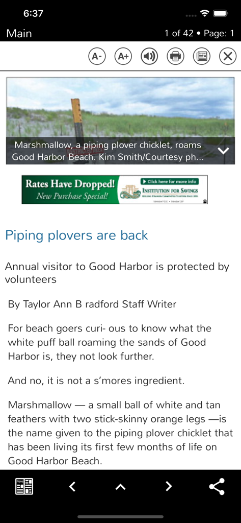 Gloucester Daily Times - Gloucester Daily Times mobile app article about piping plovers at Good Harbor Beach