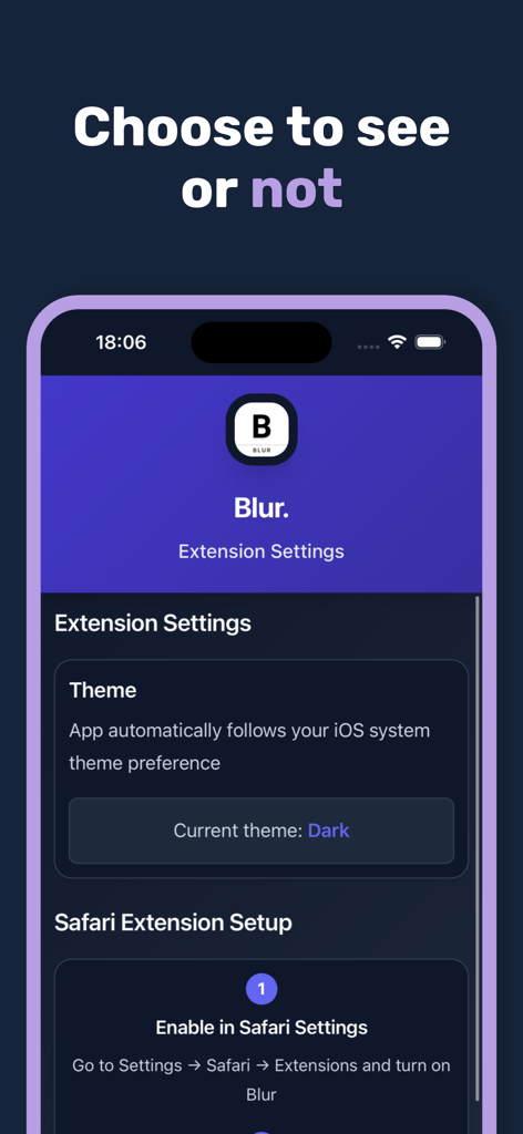 Blur. Image Video Blur - Blur app settings screen showing theme options and Safari extension setup instructions