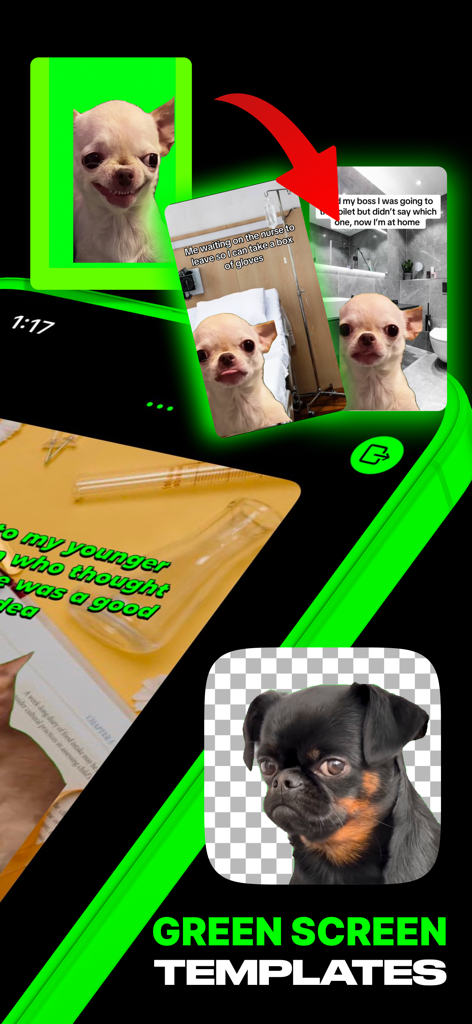 Mobile app interface showing green screen meme templates with funny dog characters.
