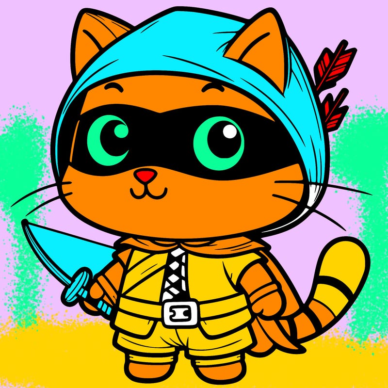 cat robin hood ninja