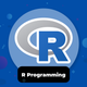Learn R Programming [PRO]