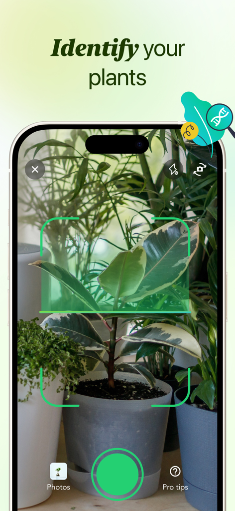 Flora - Plant ID & Diagnosis - Smartphone screen demonstrating the Flora app plant identification feature scanning a houseplant leaf