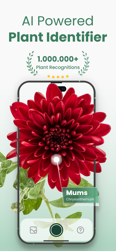 Plantify app interface identifying a red Chrysanthemum flower using AI