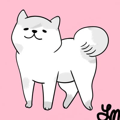 animals_29