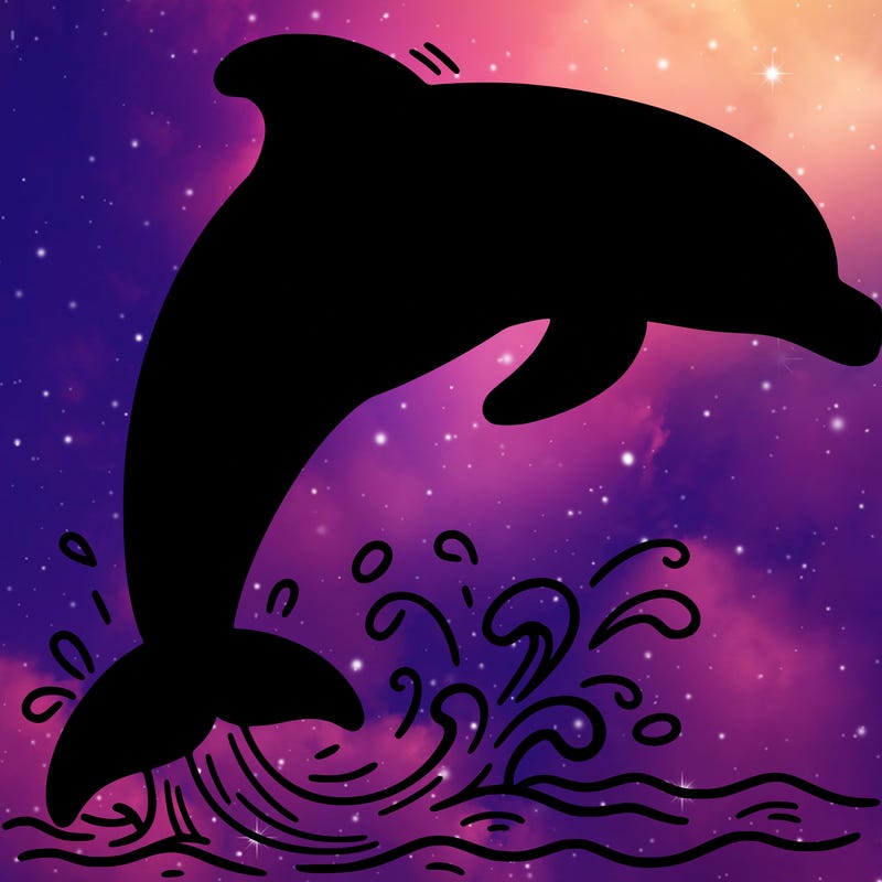 dolphin