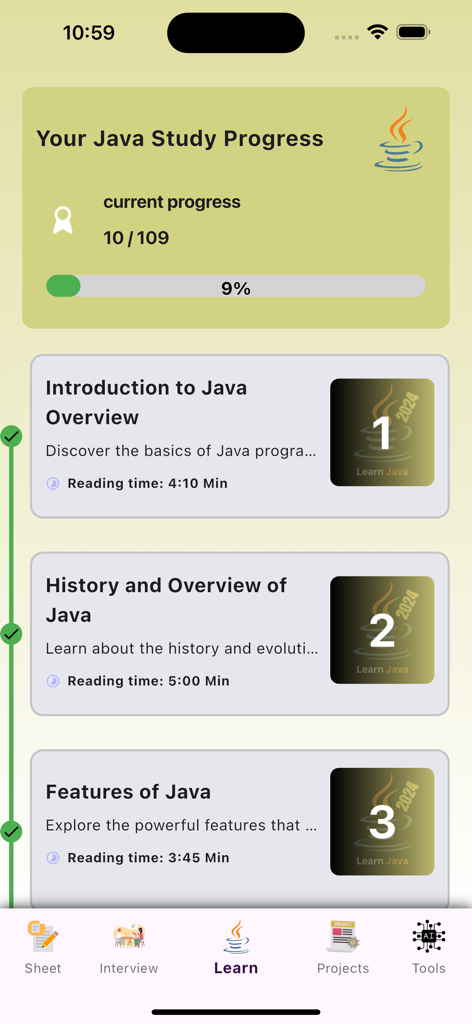 Mobile app interface showing Java study progress dashboard with lesson modules and a progress bar