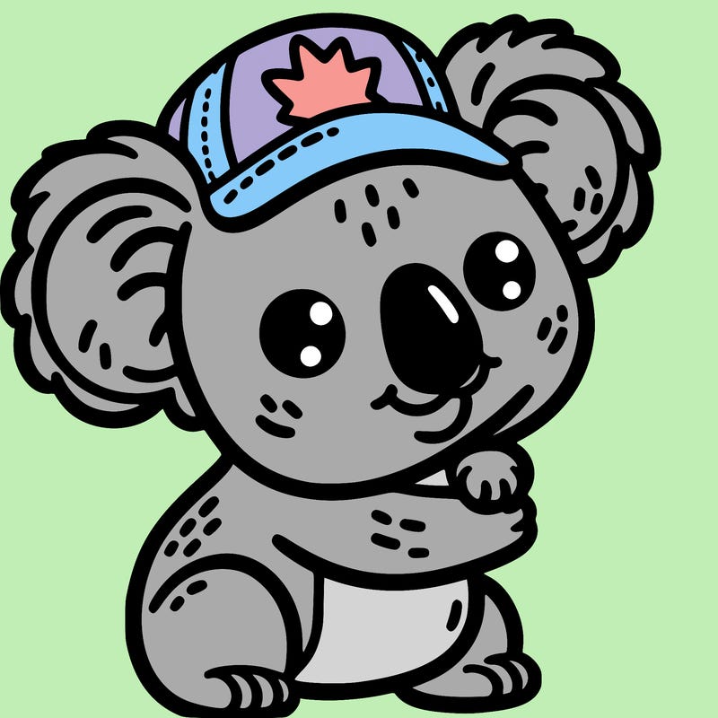 a koala with the australian cap