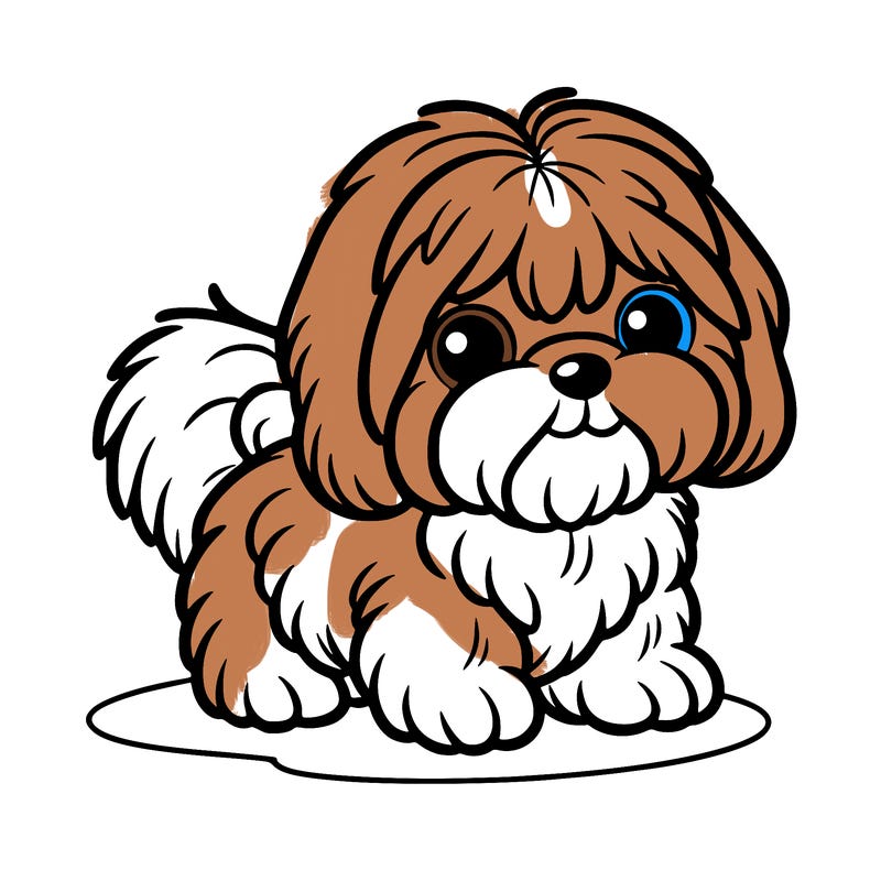 shih tzu