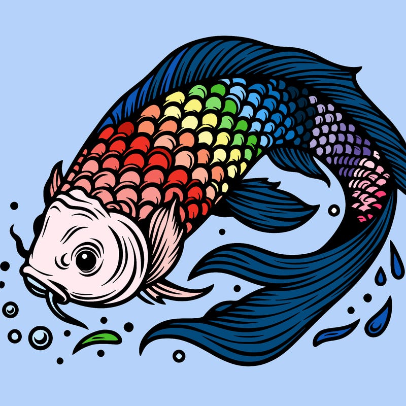 beautiful koi fish
