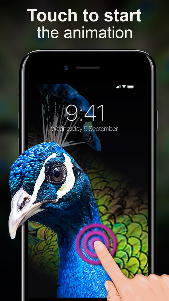 Live Wallpapers Unlimited - Peacock animated live wallpaper on iPhone screen