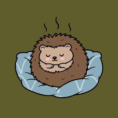 cozy hedgehog