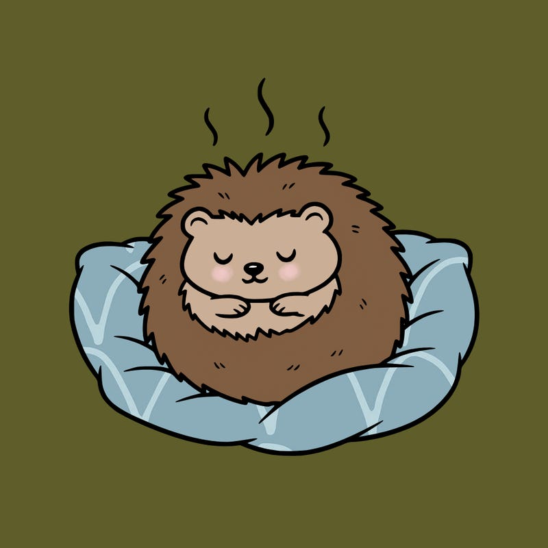cozy hedgehog