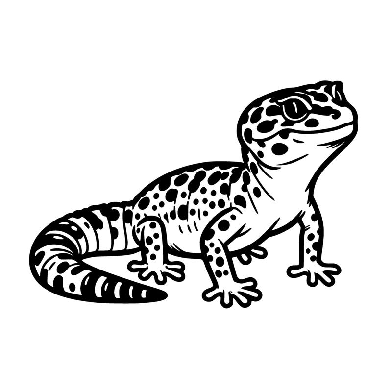 leopard gecko