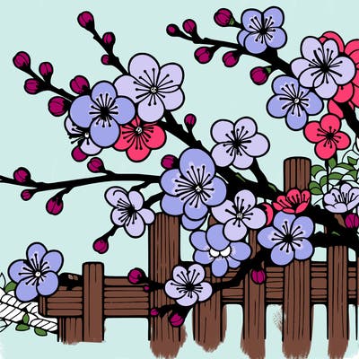 japan cherry blossom