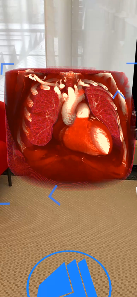 Medicalholodeck® - 心臓と肺を示す3Dヒト胸腔の拡張現実表示