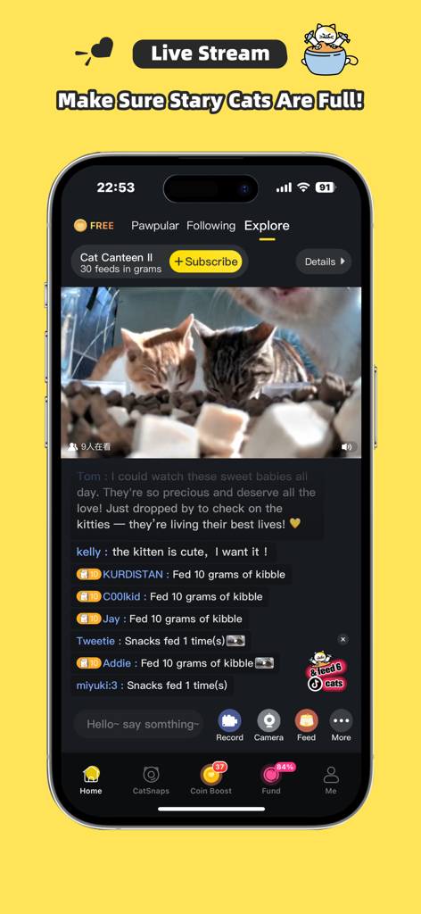 Un écran de téléphone portable affichant un flux vidéo en direct de chats errants mangeant avec une interface de chat social et des notifications de nourrissage.