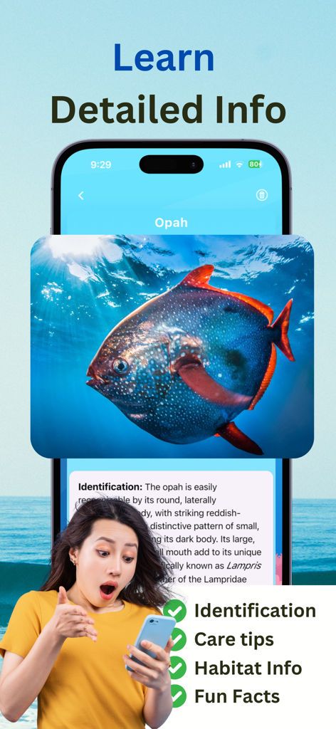 Fish Identifier : Fishverify - A woman discovering detailed fish species information on the Fishverify app