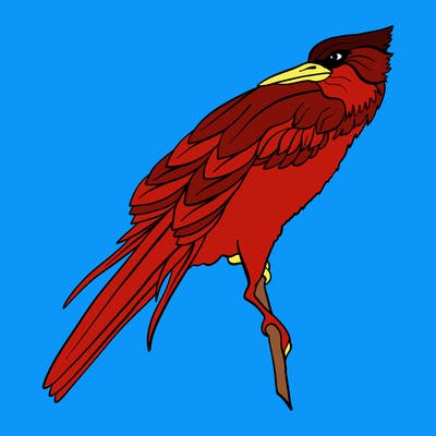 animals_63