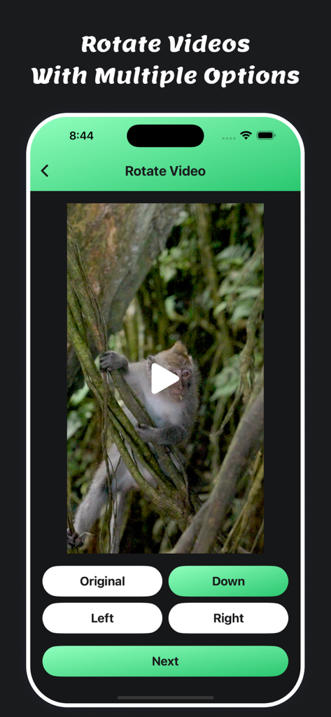 Mute Video : Remove Sounds - iPhone-Oberfläche, die Videodrehwerkzeuge für einen Videoclip eines Affen zeigt