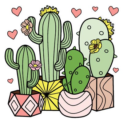 flowers_24_new