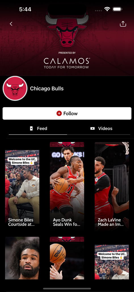 Chicago Bulls team profile on the CHSN mobile app featuring video highlights and news feed.