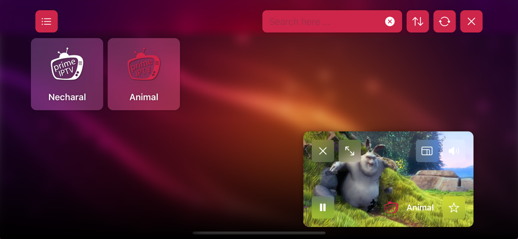 Prime IPTV app interface displaying categories and picture in picture video player