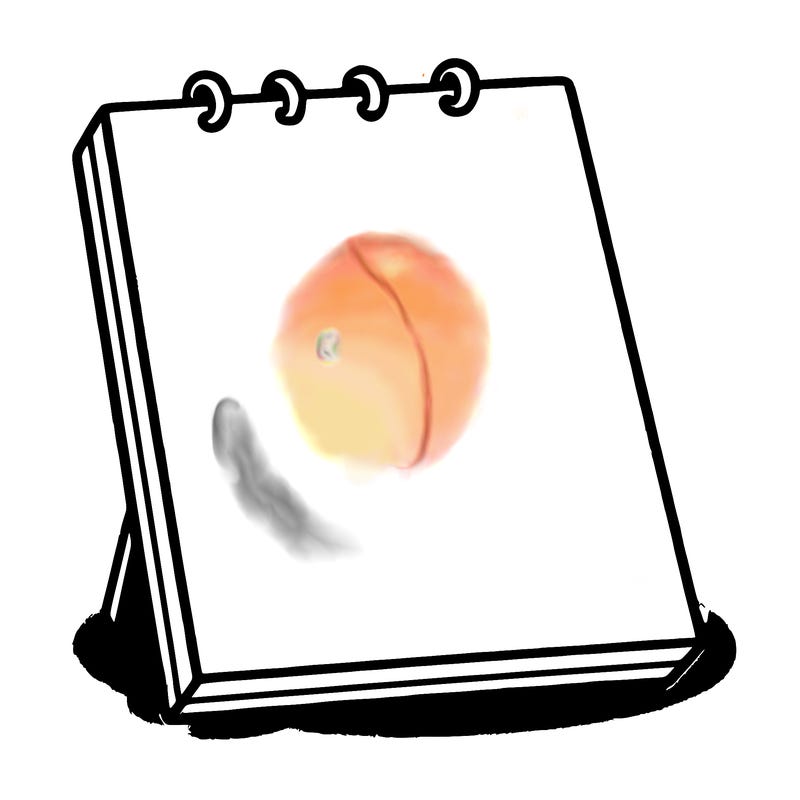 blank canvas