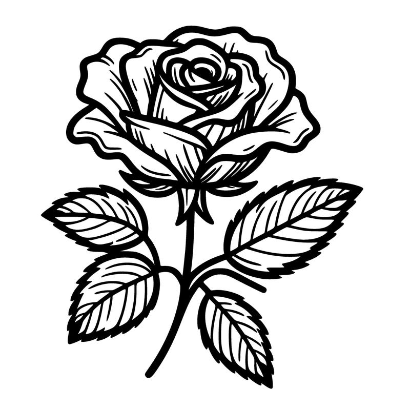 rose