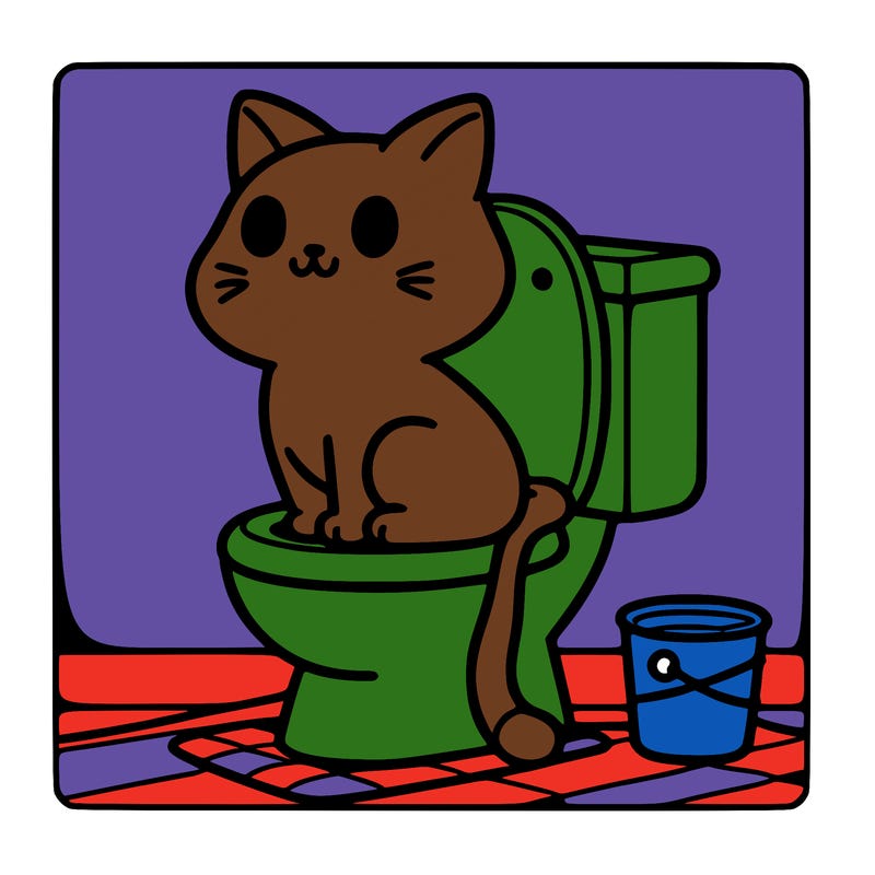 cat on toilet