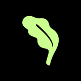 Kale - Creator Rewards