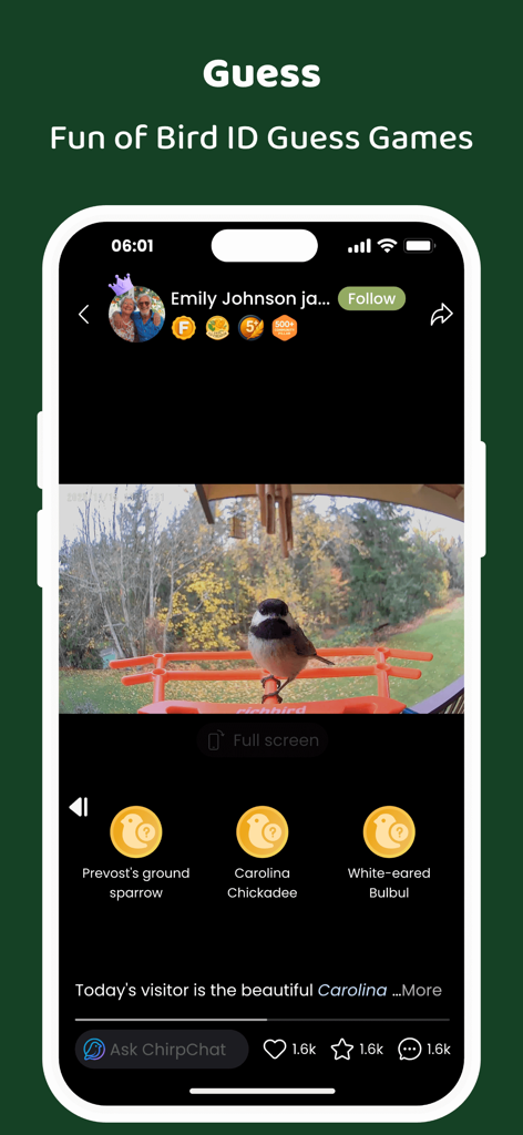 COOLFLY: Birding & Connection - A bird identification guess game on the COOLFLY app featuring a Carolina Chickadee on a bird feeder