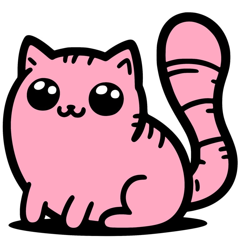 random cat