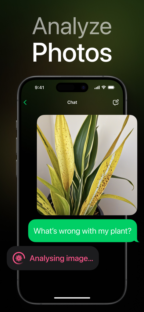 AI Box app interface showing an image analysis feature where a user asks about a sick plant