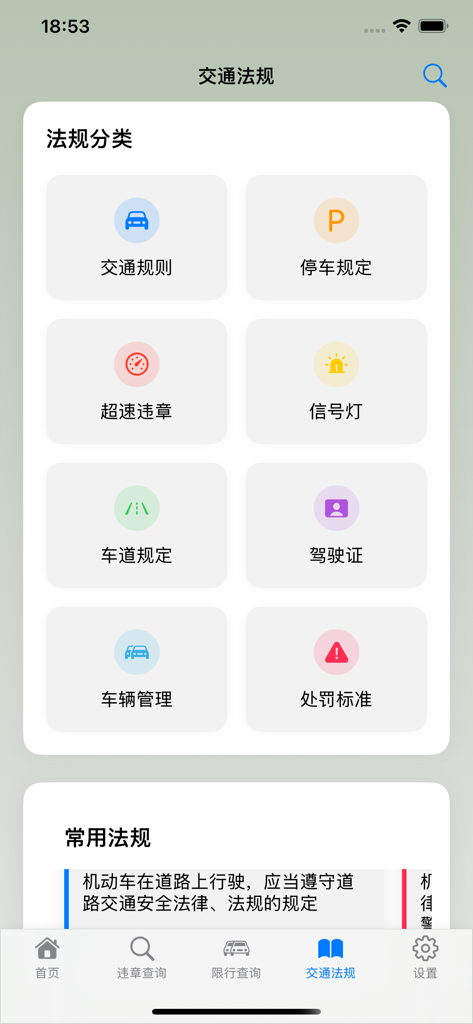 Mobile app interface showing a menu of Chinese traffic regulation categories including parking, speeding, and licensing
