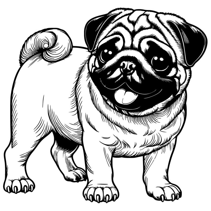 realistic pug