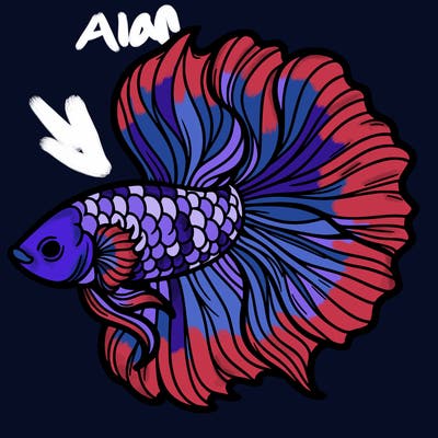 betta fish
