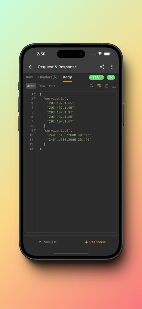 Reqable - App mobile Reqable che mostra il corpo di una risposta API JSON con gli indirizzi IP dei servizi.