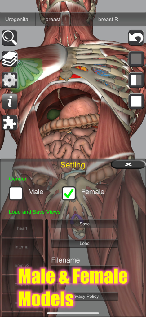A 3D human anatomy model of a female torso displaying internal organs and muscle layers with a gender selection menu.