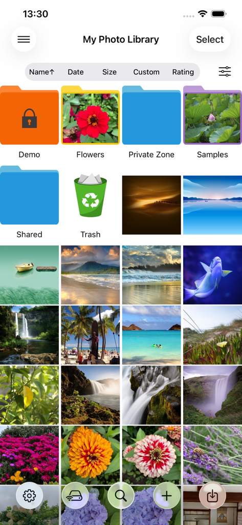 Photo Manager Pro gallery view showing a hierarchical folder structure and organized photo grid with sorting options