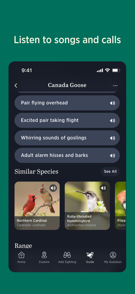 Audubon Bird Guide - Audubon Bird Guide app screen displaying Canada Goose song and call recordings