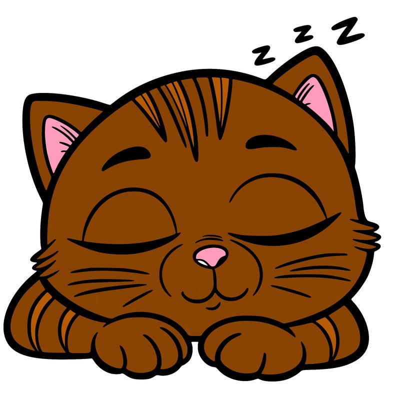 sleepy cat
