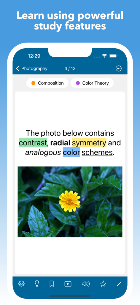 A photography flashcard in the Mighty Flashcards app featuring a yellow flower image and color-coded rich text about composition.