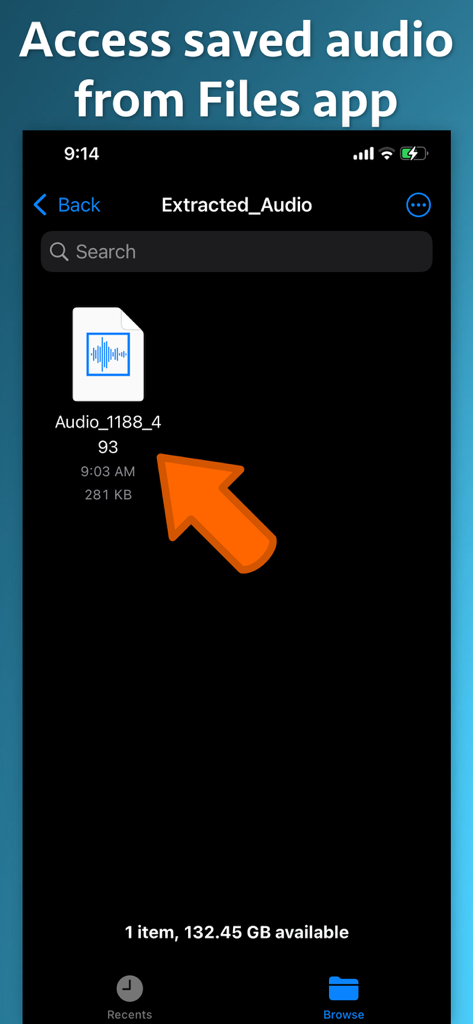Video to Audio Extractor - Archivo de audio extraído mostrado dentro de la interfaz de la aplicación Archivos de iOS