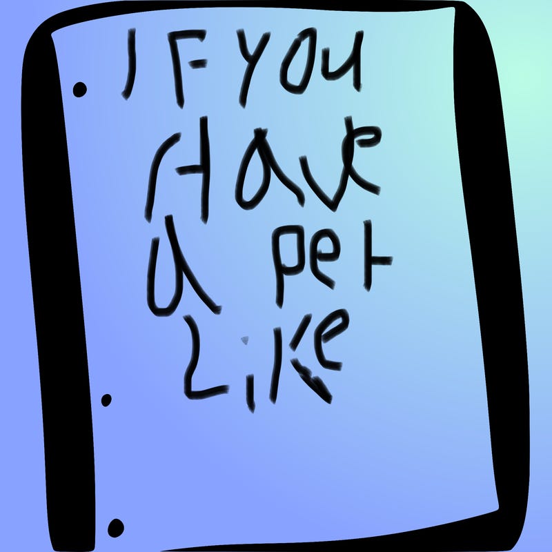 blank white page with nothing drawn on it