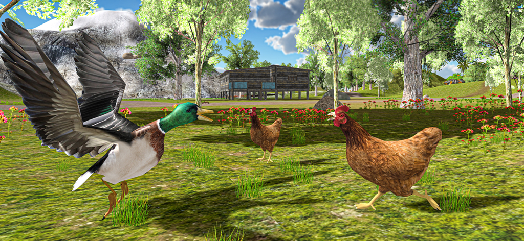 Flying Duck Life Simulator - A mallard duck flying in a grassy field near two chickens and a wooden house