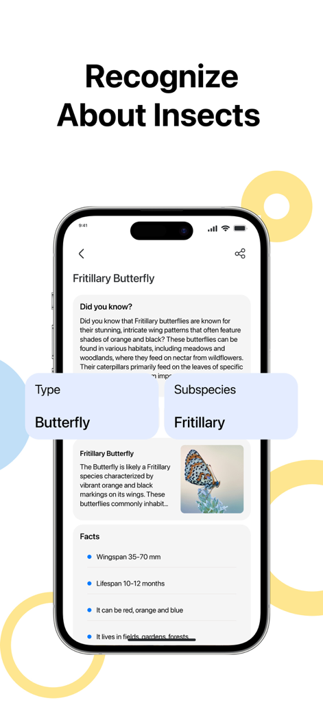 Lens - Photo Scan, Identifier - Fritillary 나비와 상세한 곤충 정보를 식별하는 렌즈 앱의 모바일 화면