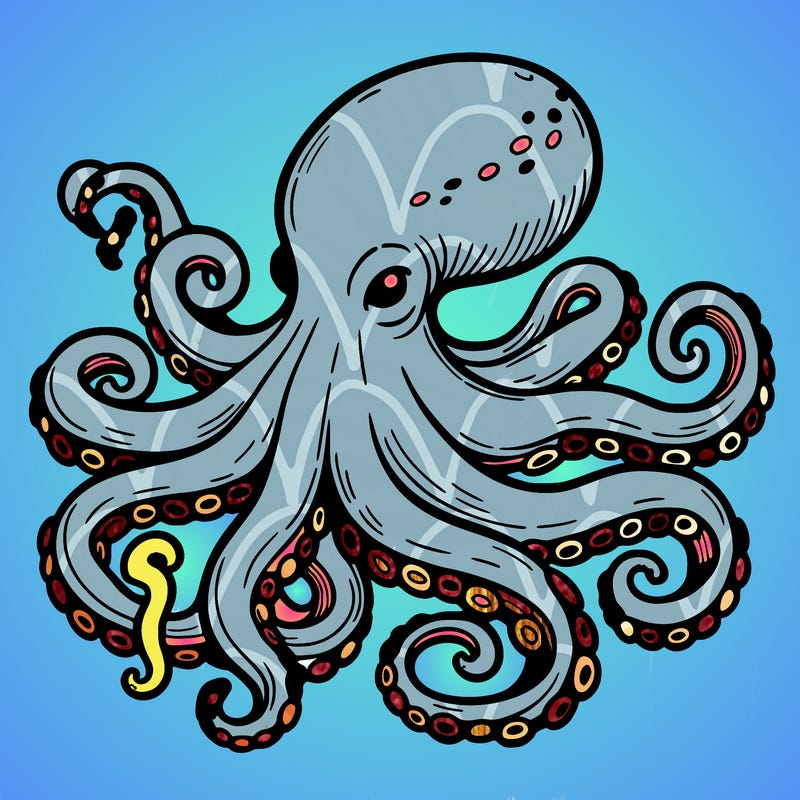 octopus