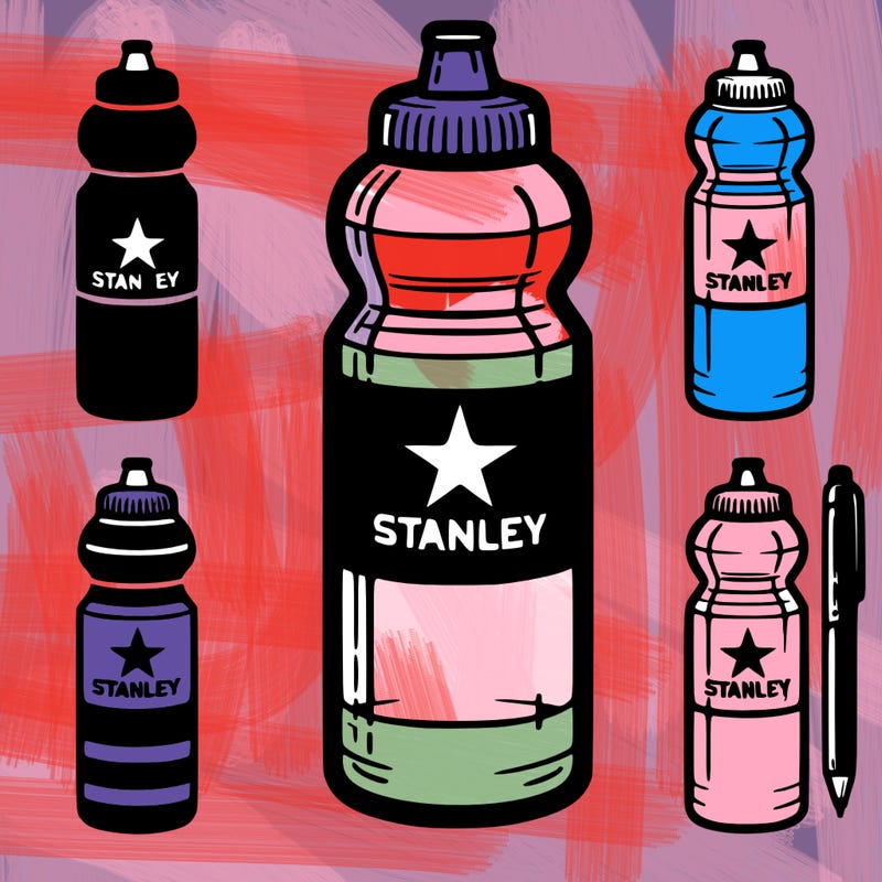 stanley water bottle