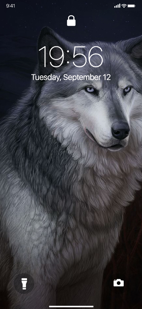 Lone Wolf Wallpapers - Gray wolf portrait wallpaper on an iPhone lock screen
